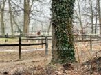 Ruhiges Baugrundstück zwischen Reiterhalle und Erholungswald Halstenbek - In der Nähe ein Pferdehof